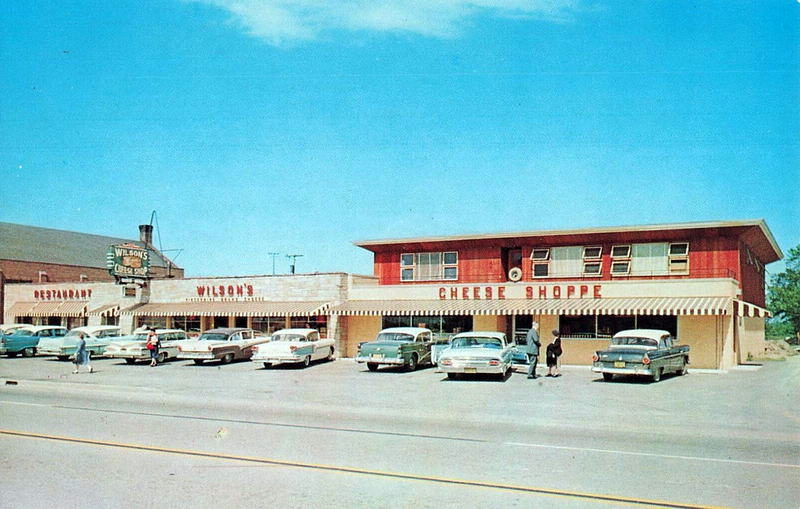 Wilsons Cheese Shop - Vintage Postcard